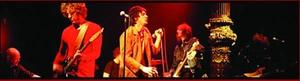 DIAMOND DOGS