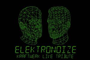 Elektronoize