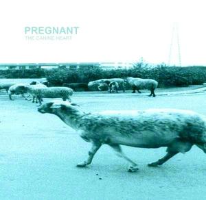 PREGNANT