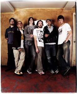 GROOVE COLLECTIVE