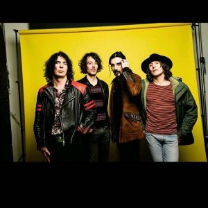 THE ZEN CIRCUS IN TOUR