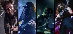 HAVOK