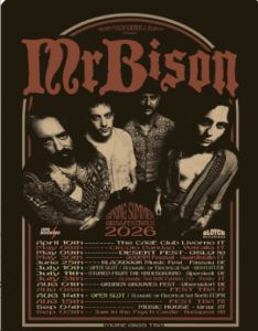 mr.bison