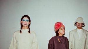 VANISHING TWIN